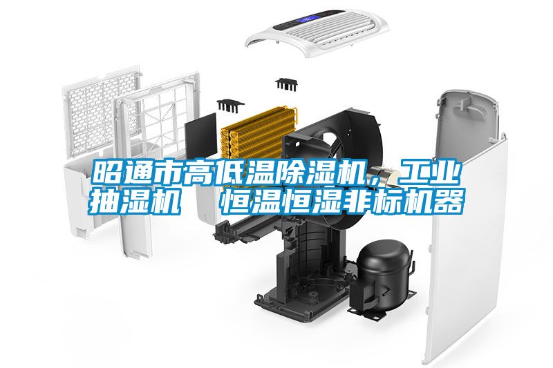 昭通市高低溫除濕機，工業(yè)抽濕機  恒溫恒濕非標機器