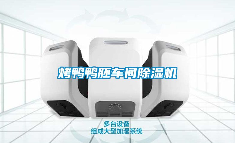 烤鴨鴨胚車(chē)間除濕機(jī)