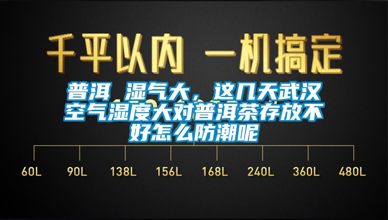 普洱 濕氣大，這幾天武漢空氣濕度大對(duì)普洱茶存放不好怎么防潮呢