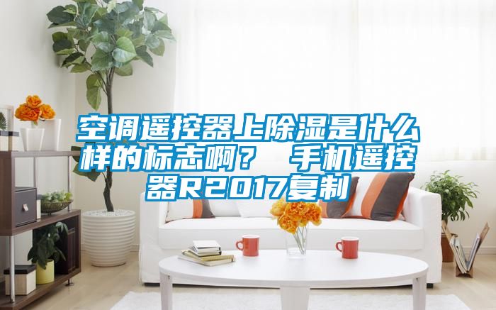 空調(diào)遙控器上除濕是什么樣的標(biāo)志??？ 手機(jī)遙控器R2017復(fù)制