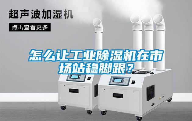 怎么讓工業(yè)除濕機在市場站穩(wěn)腳跟？