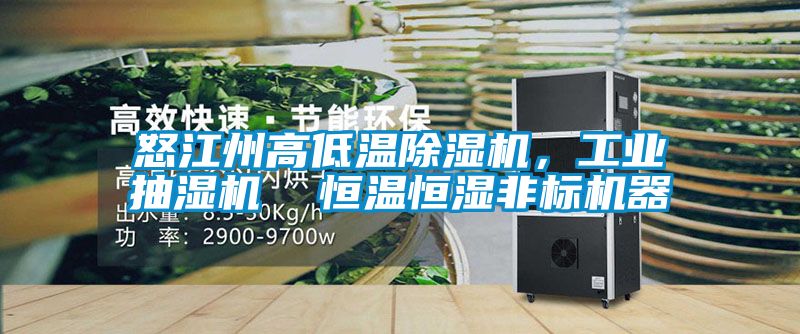 怒江州高低溫除濕機，工業(yè)抽濕機  恒溫恒濕非標機器