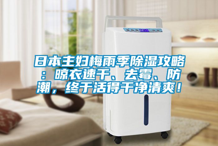 日本主婦梅雨季除濕攻略：晾衣速干、去霉、防潮，終于活得干凈清爽！