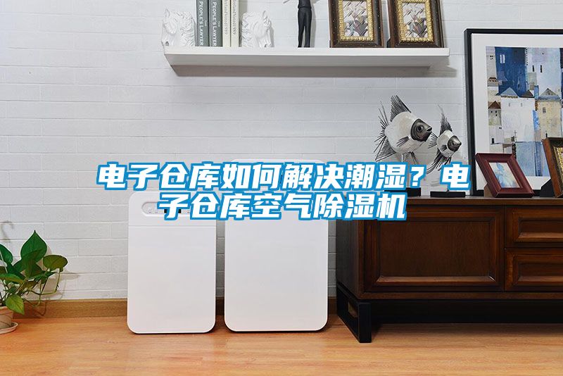 電子倉庫如何解決潮濕？電子倉庫空氣除濕機