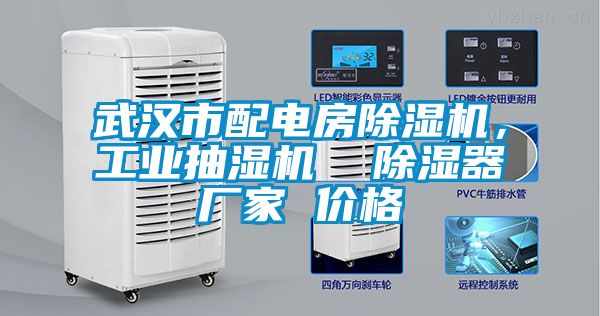武漢市配電房除濕機(jī)，工業(yè)抽濕機(jī)  除濕器廠(chǎng)家 價(jià)格