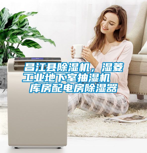 昌江縣除濕機(jī)，濕菱工業(yè)地下室抽濕機(jī)  庫(kù)房配電房除濕器