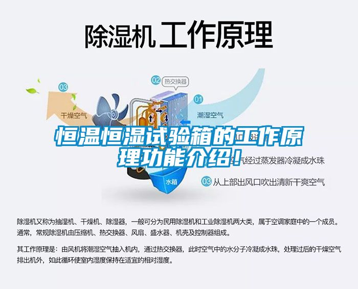 恒溫恒濕試驗箱的工作原理功能介紹！