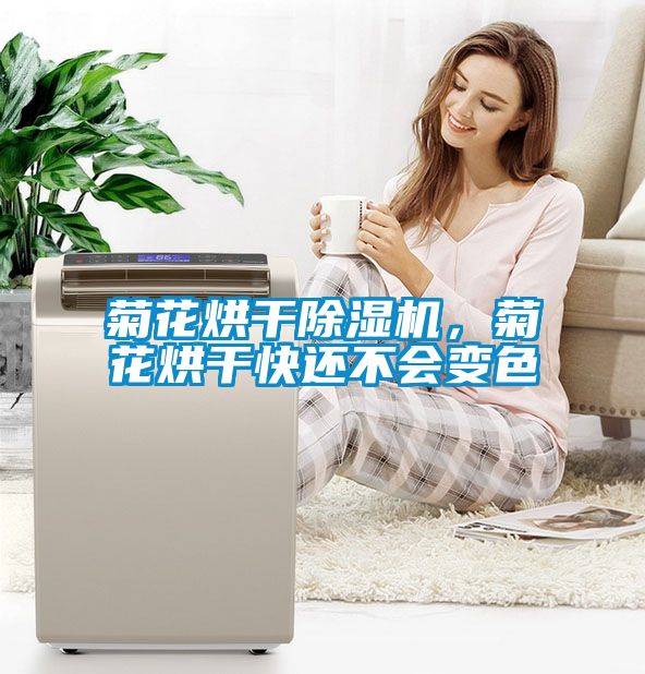 菊花烘干除濕機，菊花烘干快還不會變色