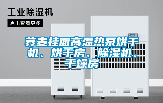 蕎麥掛面高溫?zé)岜煤娓蓹C(jī)、烘干房、除濕機(jī)、干燥房