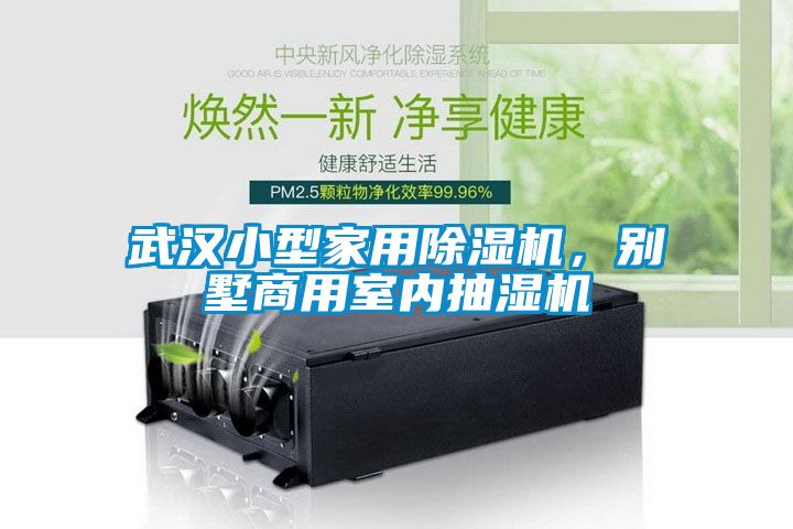武漢小型家用除濕機，別墅商用室內(nèi)抽濕機