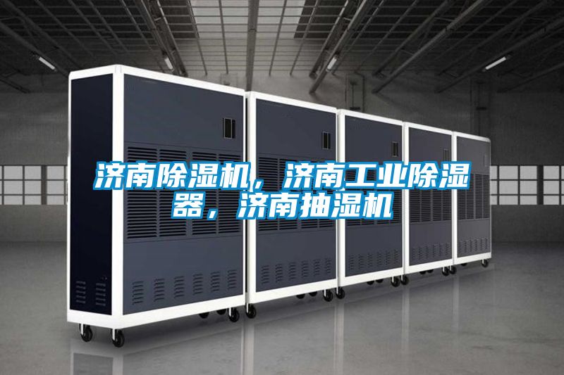 濟(jì)南除濕機(jī)，濟(jì)南工業(yè)除濕器，濟(jì)南抽濕機(jī)