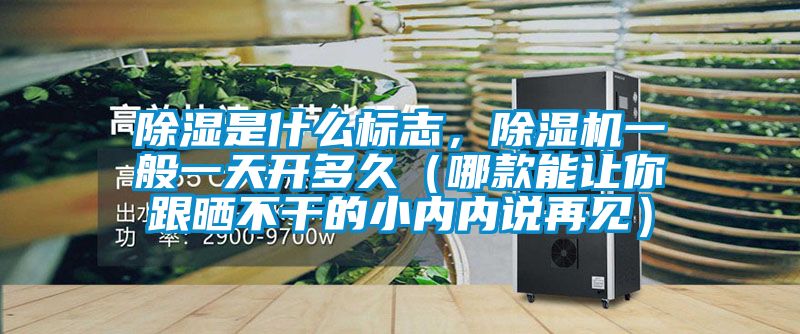 除濕是什么標(biāo)志，除濕機(jī)一般一天開多久（哪款能讓你跟曬不干的小內(nèi)內(nèi)說再見）