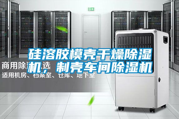 硅溶膠模殼干燥除濕機(jī)，制殼車(chē)間除濕機(jī)