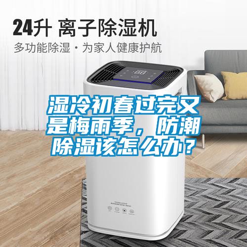 濕冷初春過完又是梅雨季，防潮除濕該怎么辦？