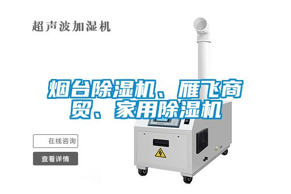 煙臺除濕機、雁飛商貿(mào)、家用除濕機