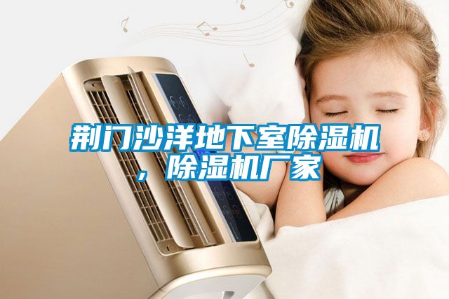 荊門(mén)沙洋地下室除濕機(jī)，除濕機(jī)廠家