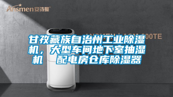 甘孜藏族自治州工業(yè)除濕機(jī)，大型車間地下室抽濕機(jī)  配電房倉(cāng)庫(kù)除濕器