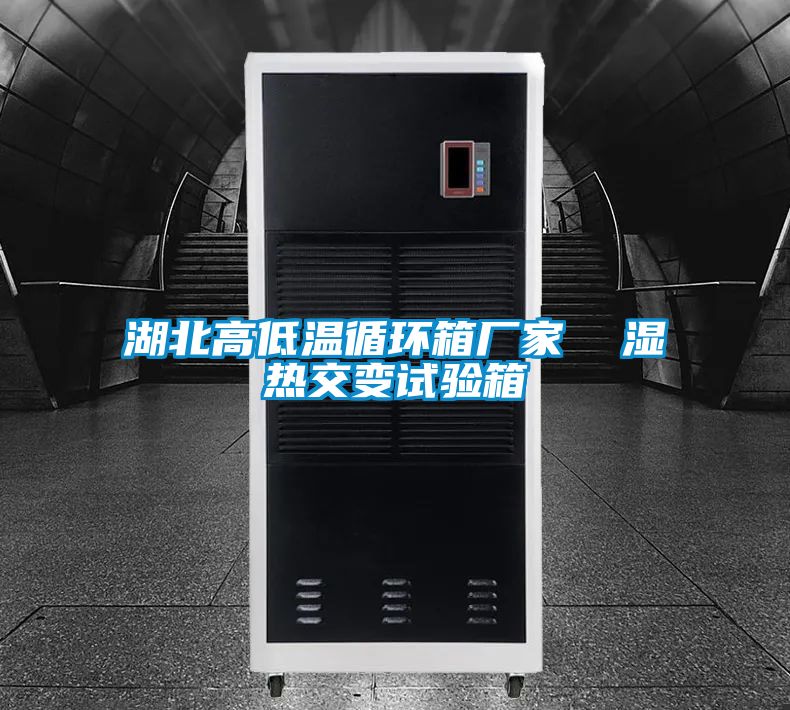 湖北高低溫循環(huán)箱廠(chǎng)家  濕熱交變?cè)囼?yàn)箱
