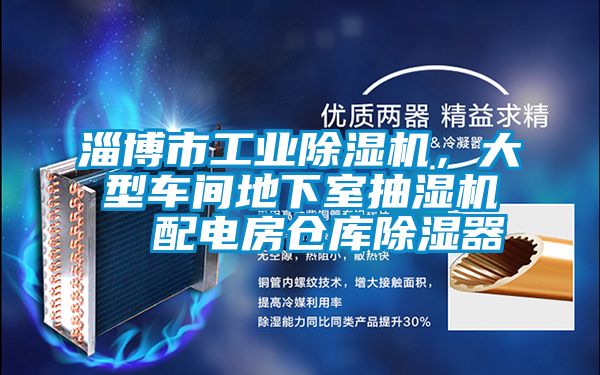 淄博市工業(yè)除濕機，大型車間地下室抽濕機  配電房倉庫除濕器