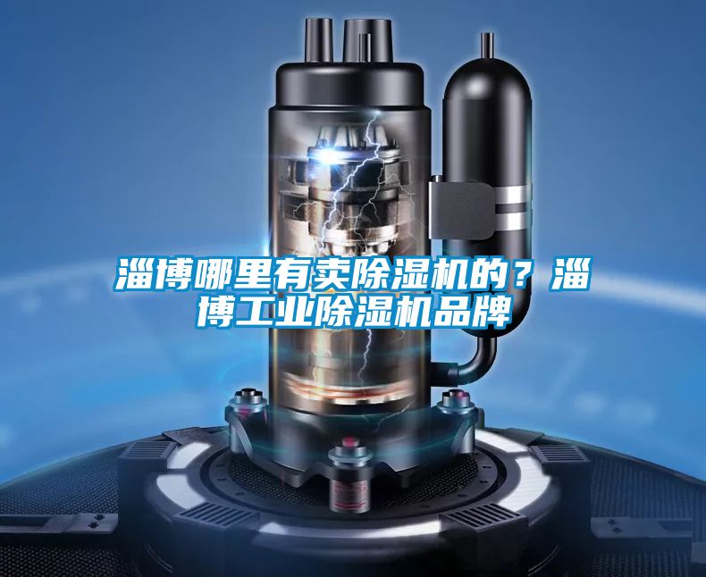 淄博哪里有賣(mài)除濕機(jī)的？淄博工業(yè)除濕機(jī)品牌