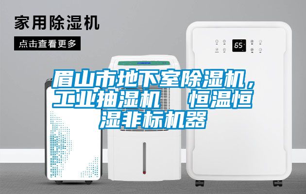 眉山市地下室除濕機，工業(yè)抽濕機  恒溫恒濕非標機器