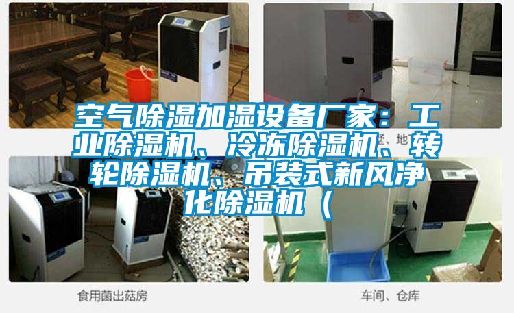 空氣除濕加濕設(shè)備廠家：工業(yè)除濕機(jī)、冷凍除濕機(jī)、轉(zhuǎn)輪除濕機(jī)、吊裝式新風(fēng)凈化除濕機(jī)（