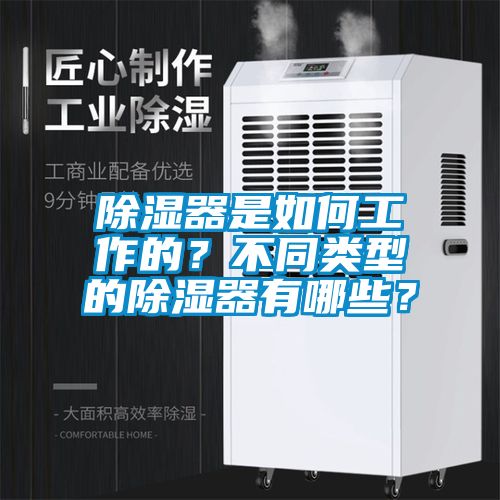 除濕器是如何工作的？不同類型的除濕器有哪些？