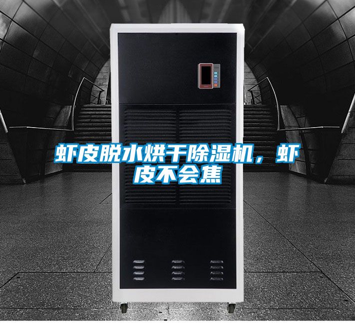 蝦皮脫水烘干除濕機，蝦皮不會焦