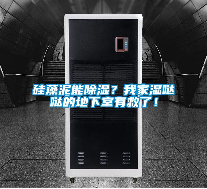 硅藻泥能除濕？我家濕噠噠的地下室有救了！