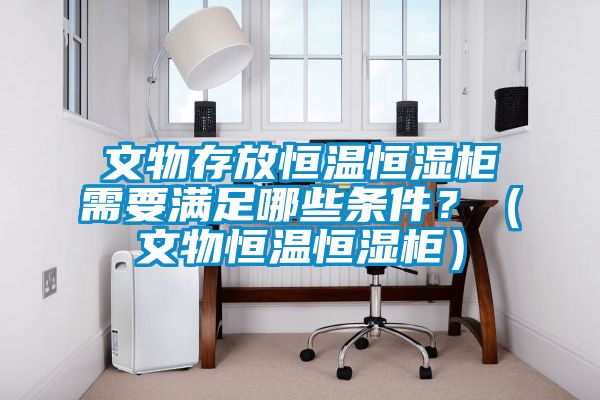 文物存放恒溫恒濕柜需要滿足哪些條件？（文物恒溫恒濕柜）