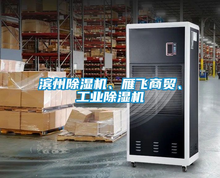 濱州除濕機(jī)、雁飛商貿(mào)、工業(yè)除濕機(jī)