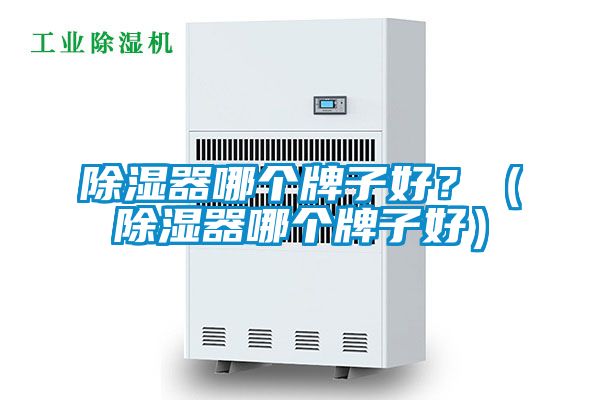 除濕器哪個牌子好？（除濕器哪個牌子好）