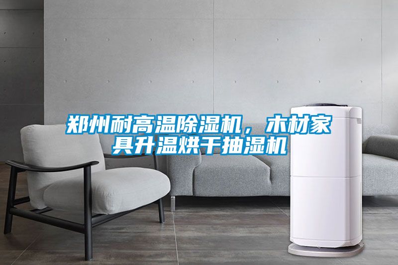 鄭州耐高溫除濕機，木材家具升溫烘干抽濕機