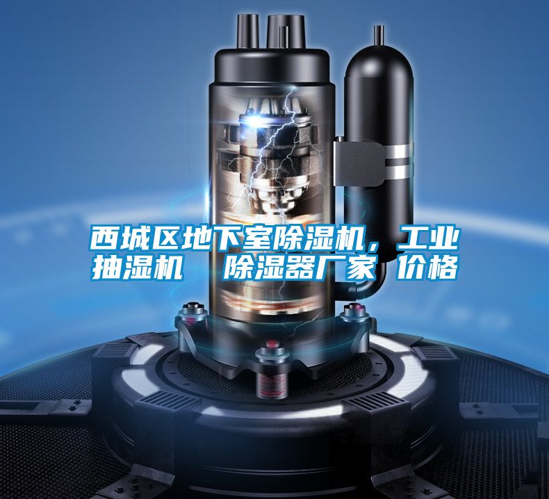 西城區(qū)地下室除濕機(jī)，工業(yè)抽濕機(jī)  除濕器廠家 價格