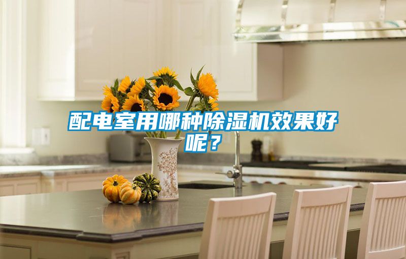 配電室用哪種除濕機效果好呢？