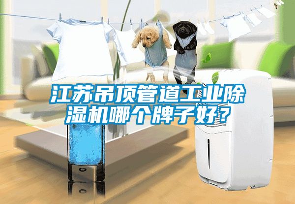江蘇吊頂管道工業(yè)除濕機哪個牌子好？