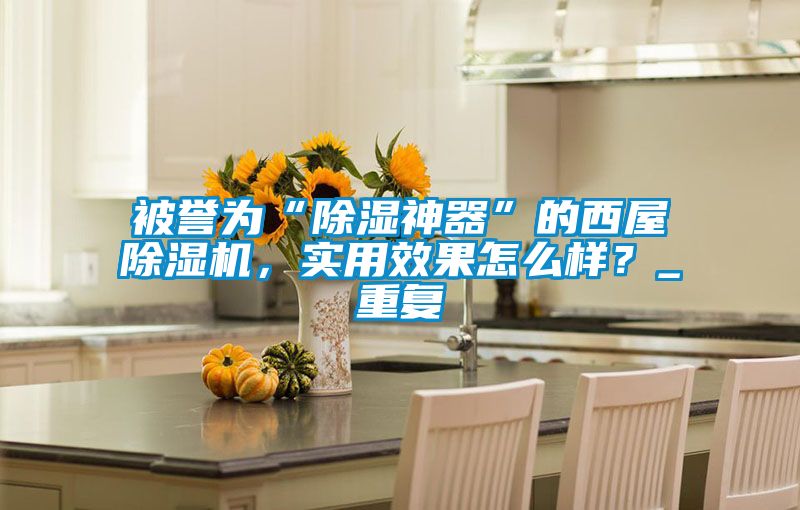 被譽(yù)為“除濕神器”的西屋除濕機(jī)，實(shí)用效果怎么樣？_重復(fù)