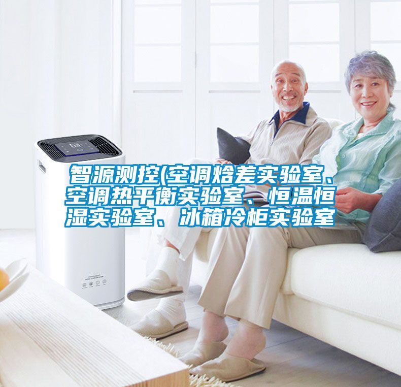 智源測(cè)控(空調(diào)焓差實(shí)驗(yàn)室、空調(diào)熱平衡實(shí)驗(yàn)室、恒溫恒濕實(shí)驗(yàn)室、冰箱冷柜實(shí)驗(yàn)室