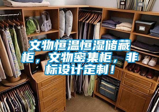 文物恒溫恒濕儲藏柜，文物密集柜，非標(biāo)設(shè)計(jì)定制！