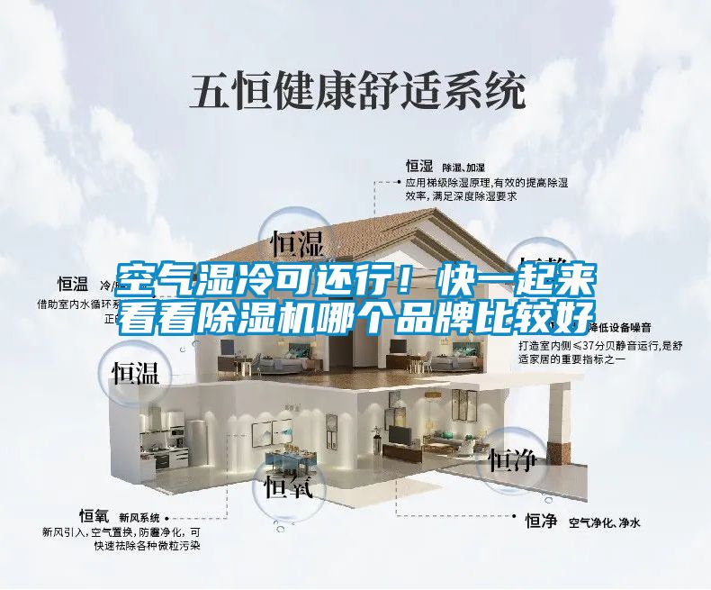 空氣濕冷可還行！快一起來看看除濕機(jī)哪個品牌比較好