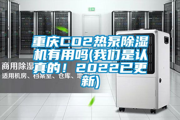 重慶CO2熱泵除濕機有用嗎(我們是認真的！2022已更新)