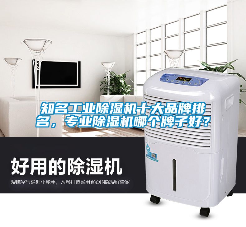 知名工業(yè)除濕機十大品牌排名，專業(yè)除濕機哪個牌子好？