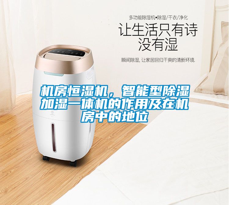 機(jī)房恒濕機(jī)，智能型除濕加濕一體機(jī)的作用及在機(jī)房中的地位