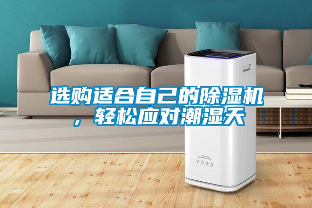 選購適合自己的除濕機(jī)，輕松應(yīng)對(duì)潮濕天