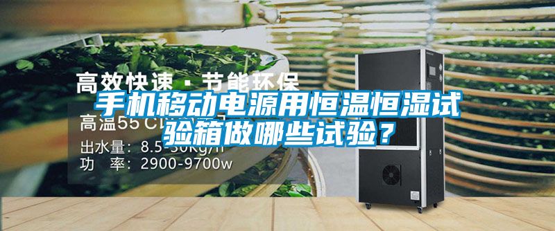 手機(jī)移動(dòng)電源用恒溫恒濕試驗(yàn)箱做哪些試驗(yàn)？