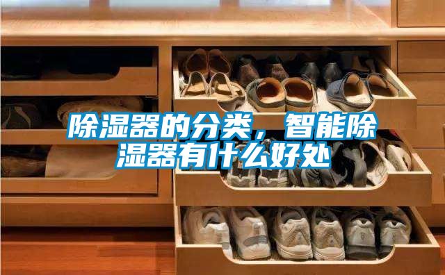 除濕器的分類，智能除濕器有什么好處