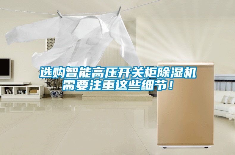 選購智能高壓開關(guān)柜除濕機(jī)需要注重這些細(xì)節(jié)！