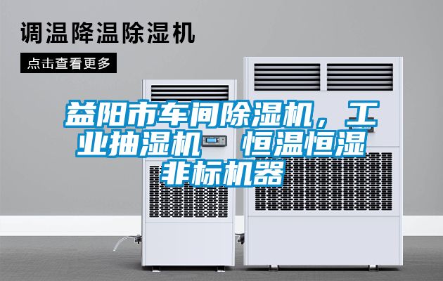 益陽市車間除濕機，工業(yè)抽濕機  恒溫恒濕非標(biāo)機器