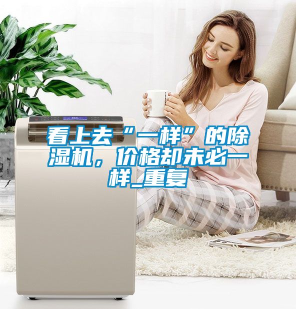 看上去“一樣”的除濕機，價格卻未必一樣_重復