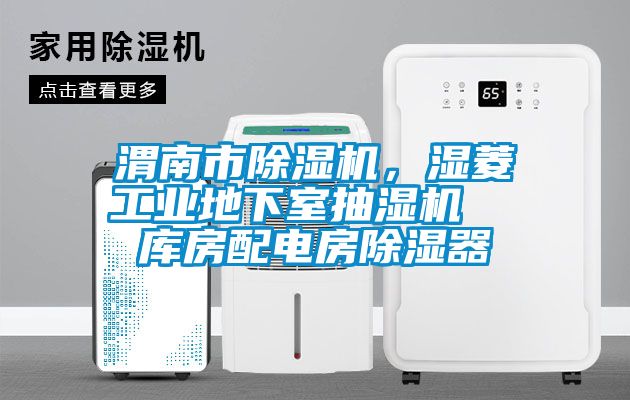 渭南市除濕機(jī)，濕菱工業(yè)地下室抽濕機(jī)  庫房配電房除濕器